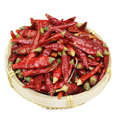 High Quality Raw Processed Dried Red Chilli Granules Chinese Supply at Competitive Price  Dried Red Chilli