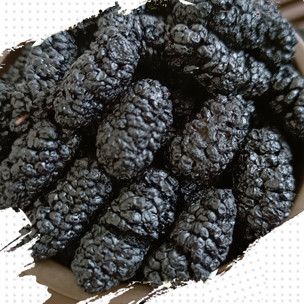 Dried Fruits Dried Black Mulberry Instant Snacks Mulberry Tea making mulberry