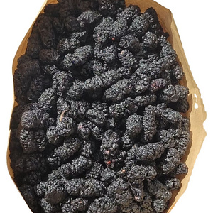 Dried Fruits Dried Black Mulberry Instant Snacks Mulberry Tea making mulberry