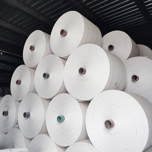 China Plastic Bag PP Woven Sack Roll For Tubular Bags