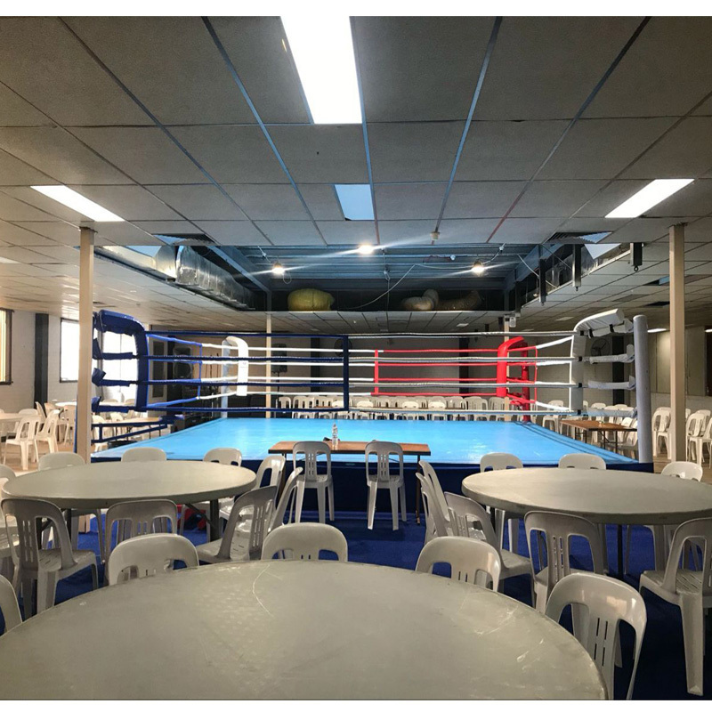 factory  international standard high quality Boxing Ring MMA cage wrestling cage for export