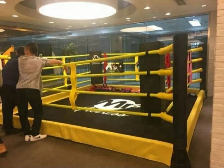 international competition inflatable boxing ring