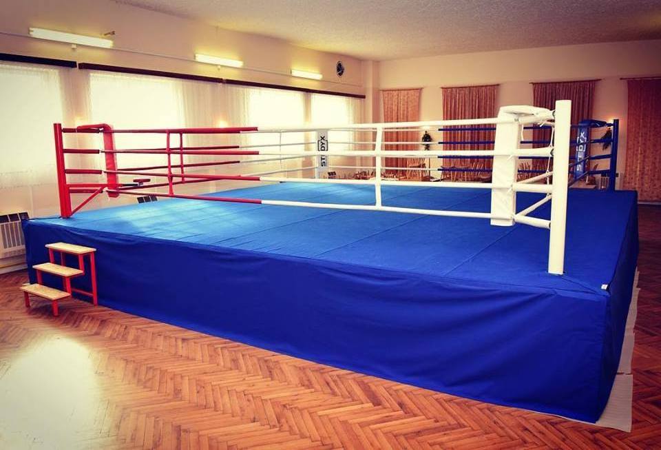 factory  international standard high quality Boxing Ring MMA cage wrestling cage for export