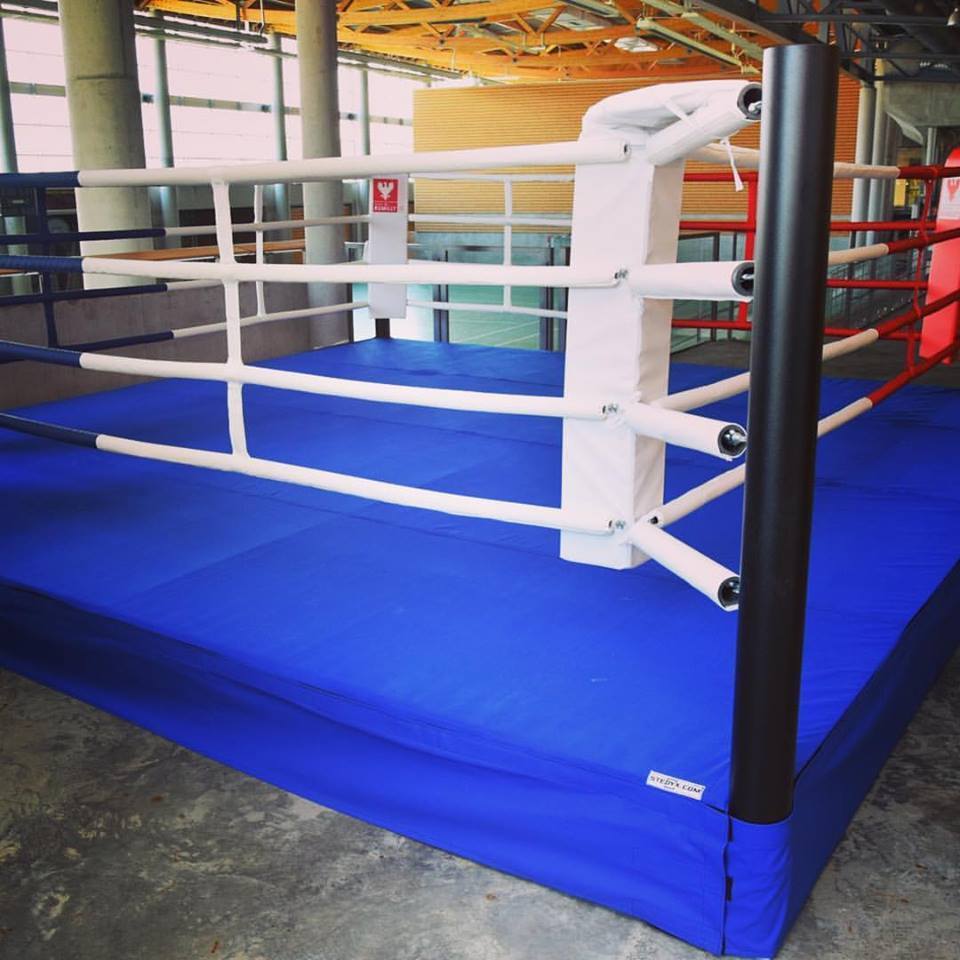 China High quality competitive price  internation  IBF standard boxing ring  for export