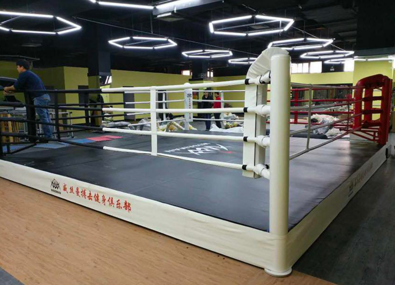 Cheap  Boxing Ring accessories MMA cage wrestling cage  for sale