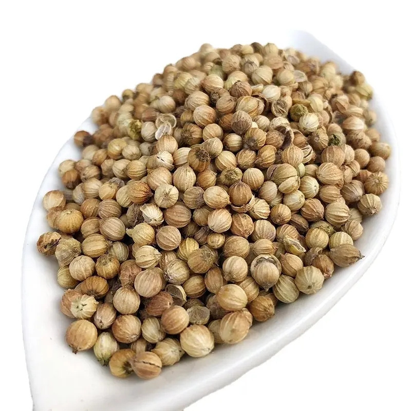 Whole Ingredient Products Manufacturer Stock Spice Dried Spice Pure Coriander Seeds Exporters