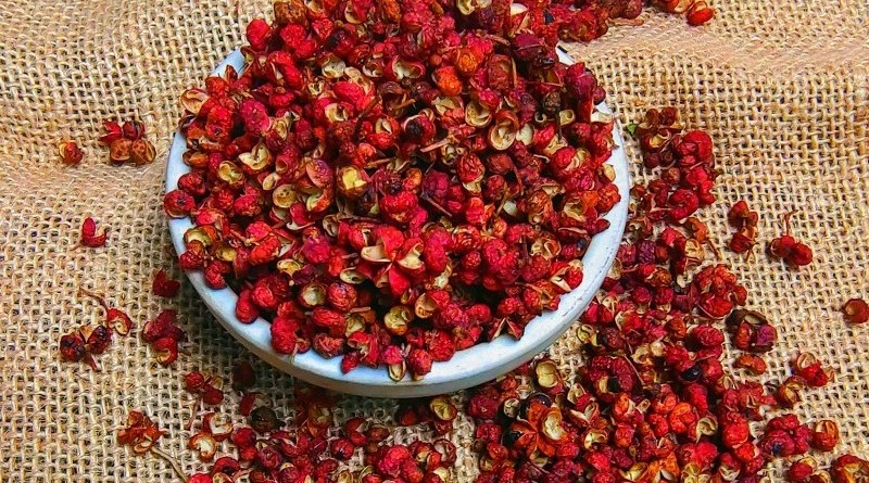 Pure Quality Dried Red Chilli Powder at Bulk Price best manufacturer red chilli