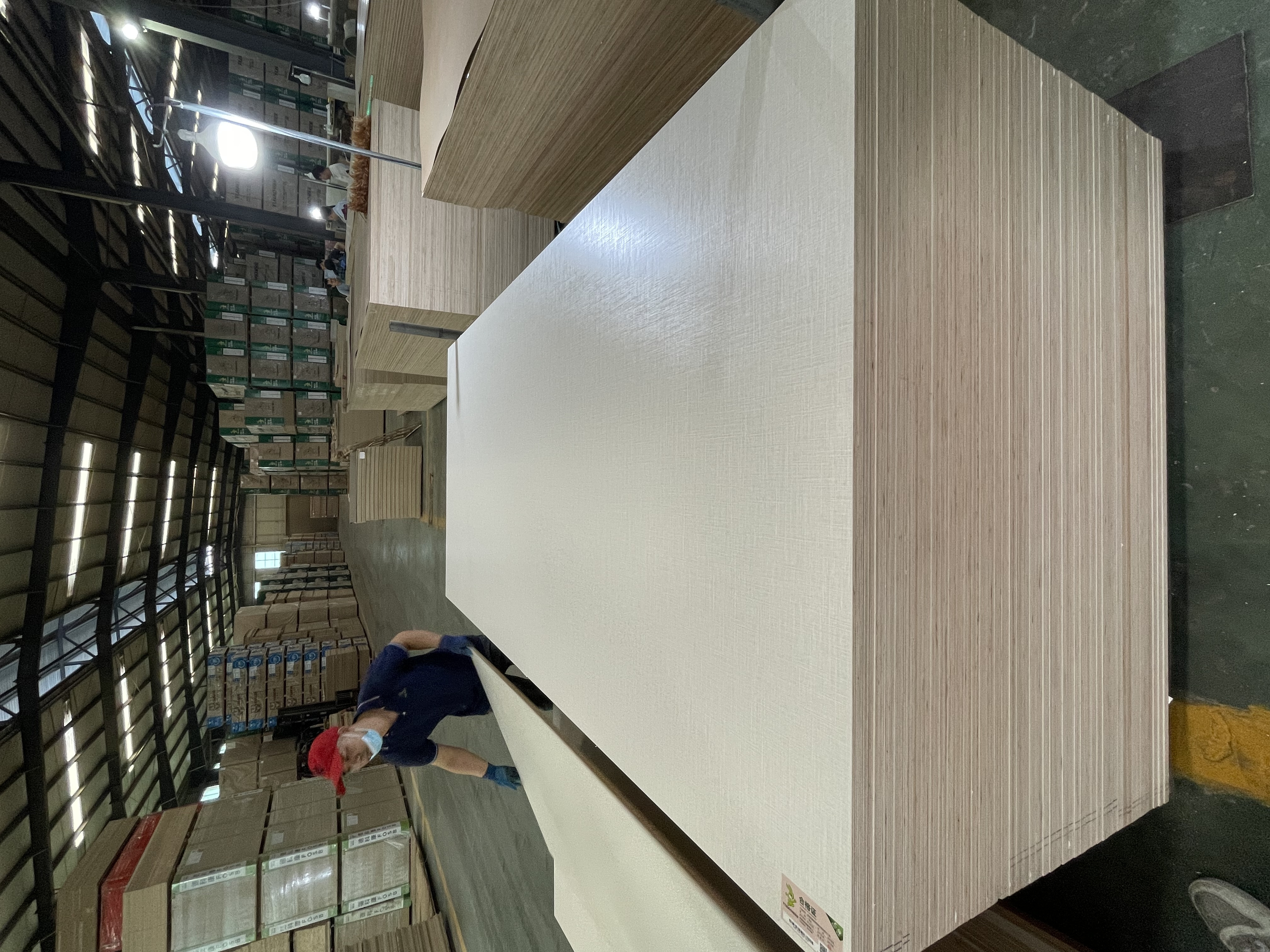 Customization 12mm 15mm 16mm 18mm Wood  Laminated Faced Melamine Marine Plywood