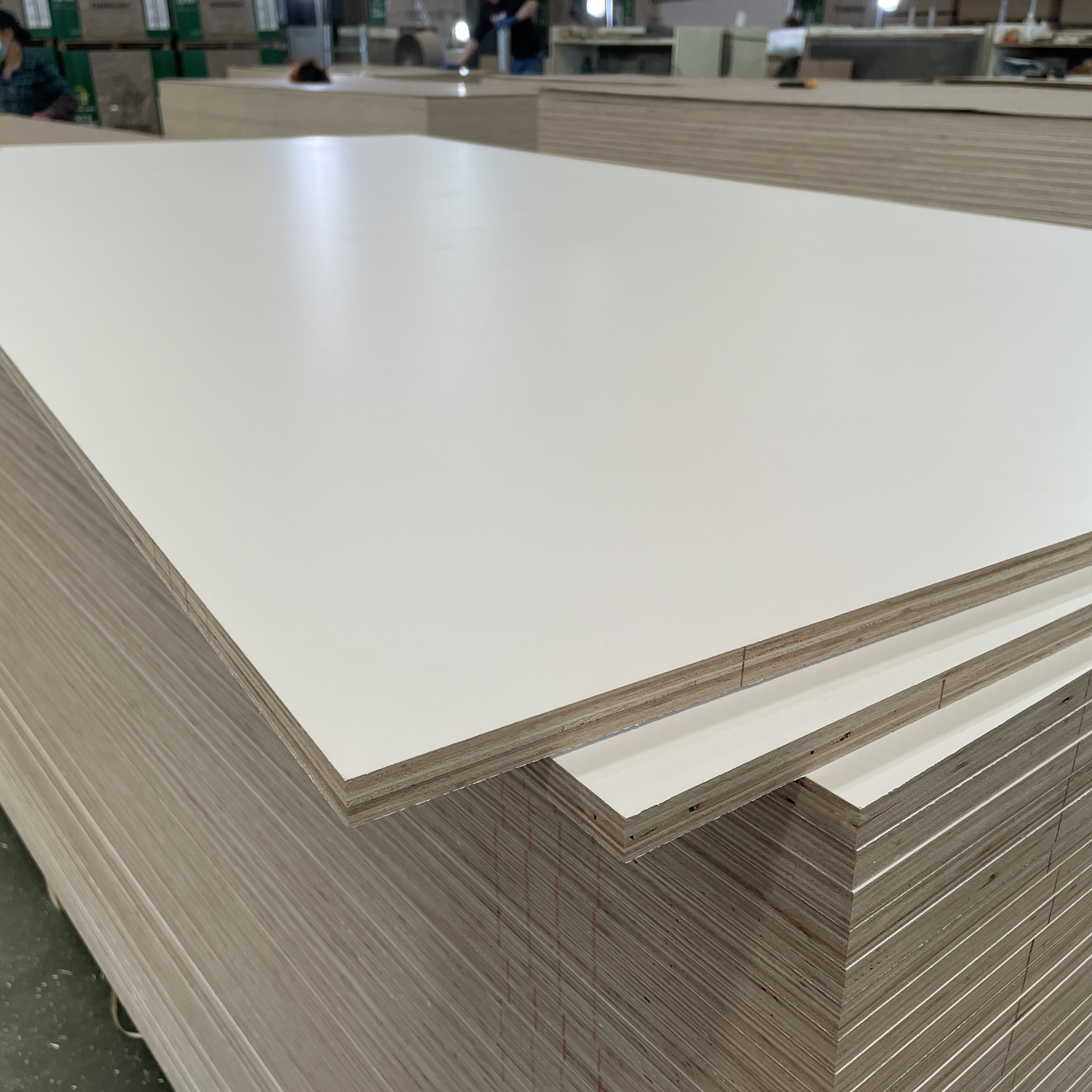 Customization 12mm 15mm 16mm 18mm Wood  Laminated Faced Melamine Marine Plywood