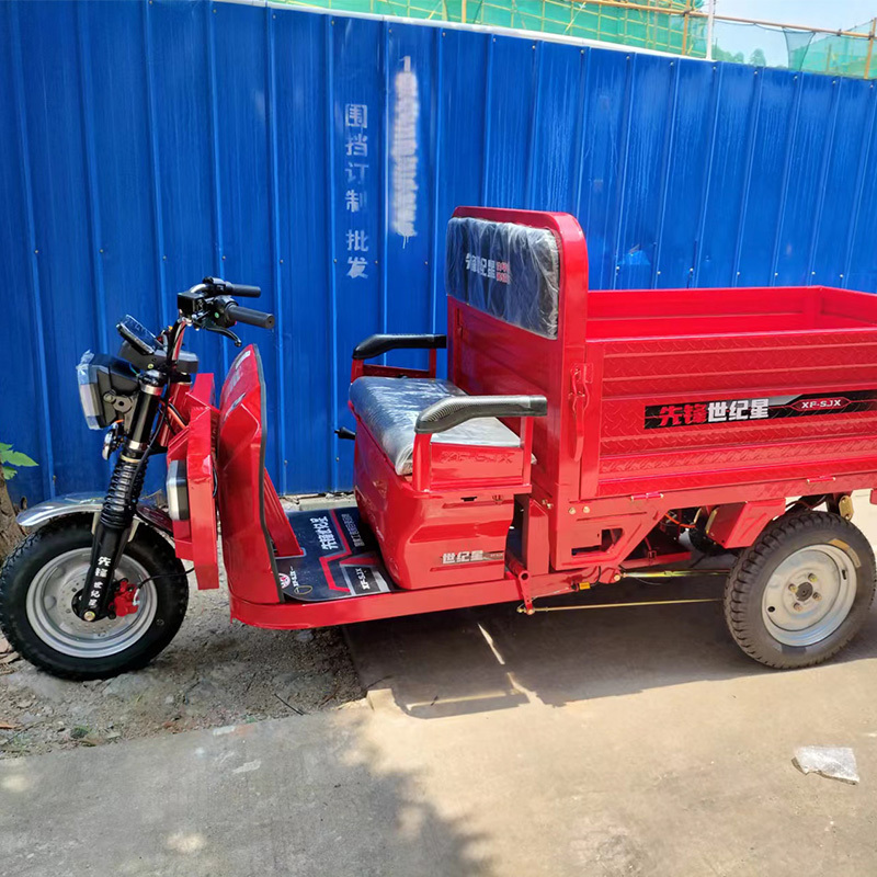 Fast Shipping Factory Directly Sale Trike Recumbent Reverse Tricycle