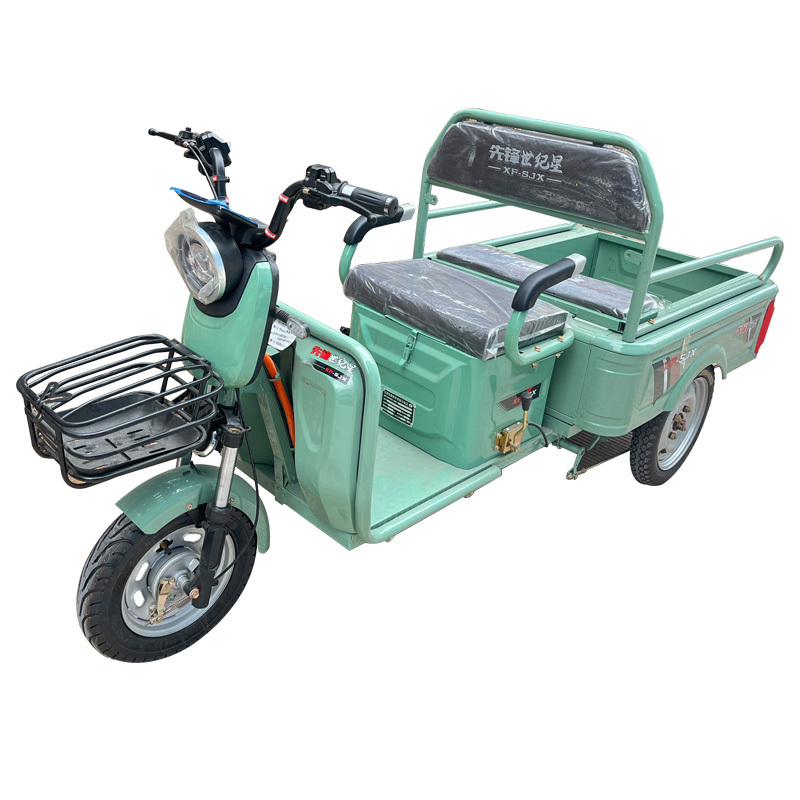 Hot Sale Electric Bicycle Tricycle Triciclo Electrico Adulto T Rex Trike Hybrid Electric Tricycle