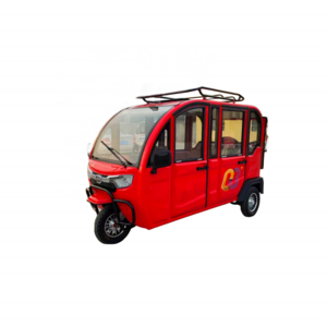 Manufacturer customization Enclosed  electric adult  tricycle without driving licence with lower price