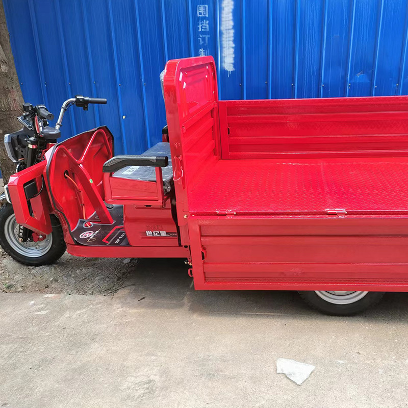 Fast Shipping Factory Directly Sale Trike Recumbent Reverse Tricycle