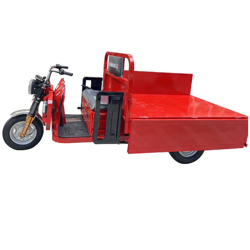 Hot Sale China Factory Popular Design Trike Electric Tricycle 3000Watt