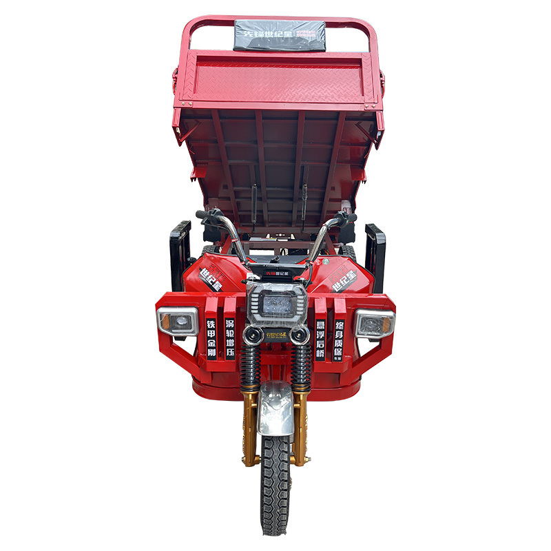 Electric Cargo Vehicle 1000W/1200W/1500W High Speed  Cheap Electric Tricycle Electric Carrier Tricycle