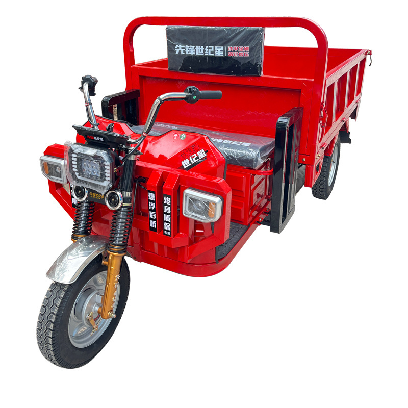 Hot Sale China Factory Popular Design Trike Electric Tricycle 3000Watt