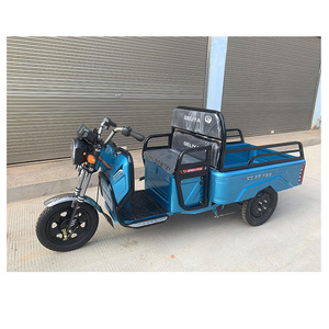 Factory price  customize electric cargo tricycle 3 wheel electric for cargo with cheap price