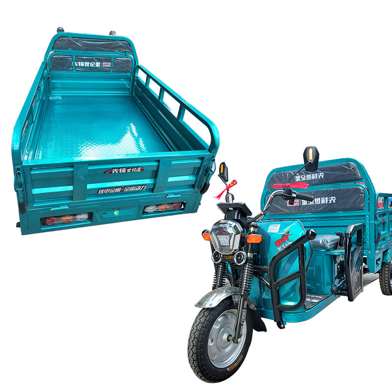 Heavy Duty Electric Cargo Vehicle 1000W/1200W/1500W High Speed  Gas Powered Trike 3 Wheels Electric Car