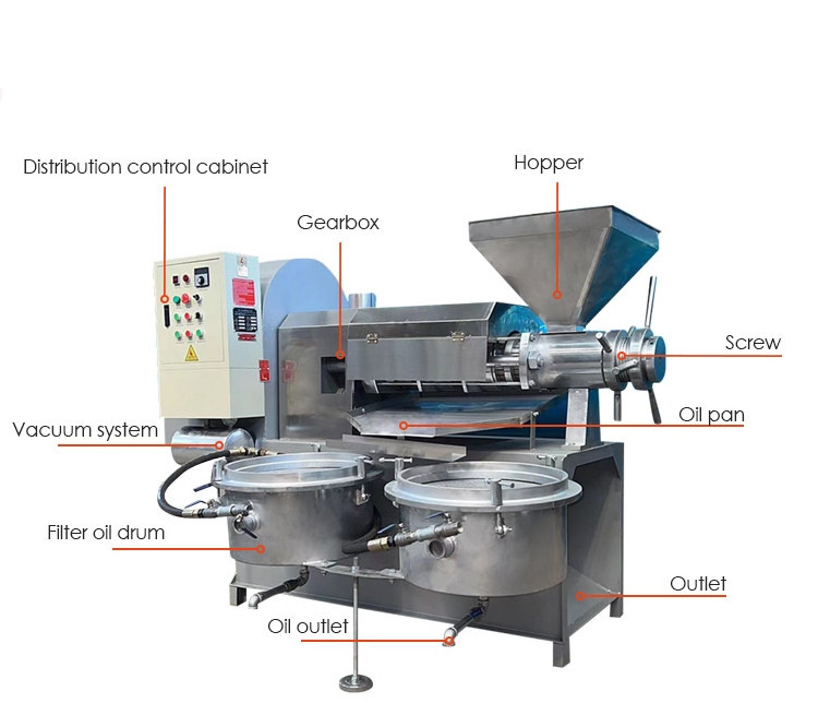 essential olive oil extraction machine cold press 6yl 165 screw oil press machine for sale