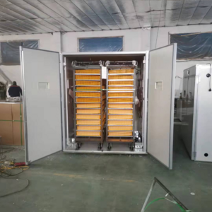 2112 Egg Incubator Used Chicken Egg Incubator for Sale 10 Year 68kg Energy Saving Chicken Egg Incubator Hatching Machine