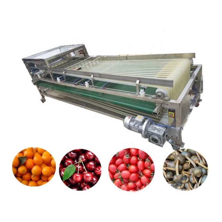 Automatic fruit seeds olives grain sorting machine coffee cherries sorter fruits sorting machine