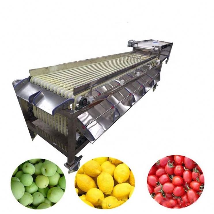 Automatic fruit seeds olives grain sorting machine coffee cherries sorter fruits sorting machine