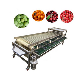 Automatic fruit seeds olives grain sorting machine coffee cherries sorter fruits sorting machine