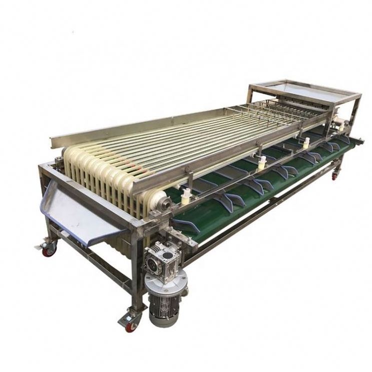 Automatic fruit seeds olives grain sorting machine coffee cherries sorter fruits sorting machine