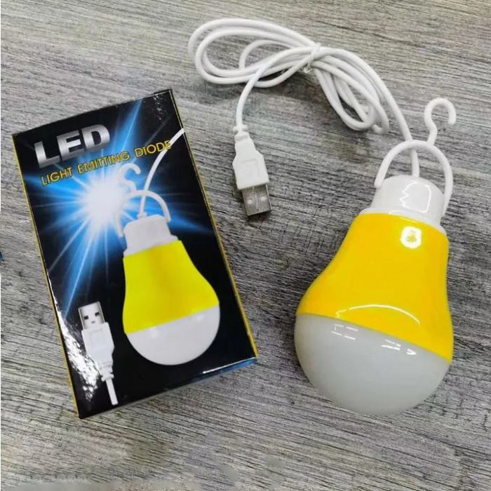 Different House Color Bulb 5W 5V LED Bulb with Wire and USB Cable for Holiday and Family led bulb manufacturing machine