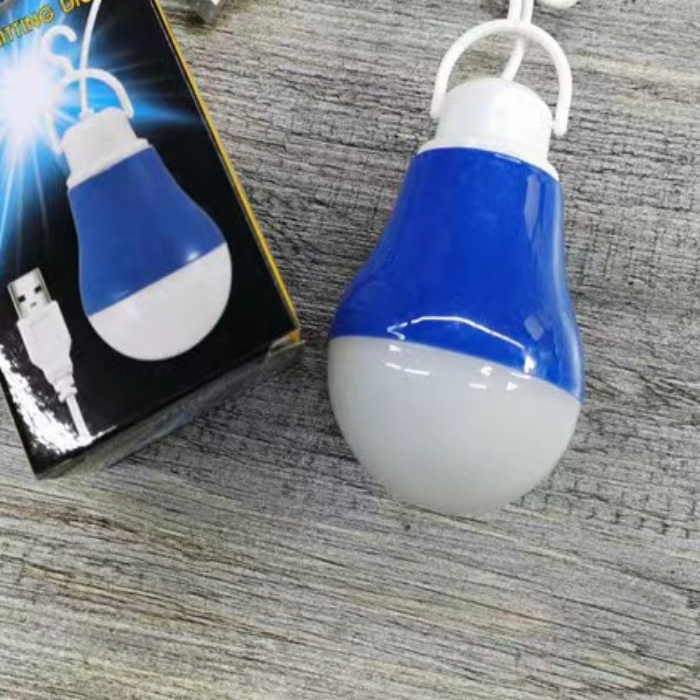 Different House Color Bulb 5W 5V LED Bulb with Wire and USB Cable for Holiday and Family led bulb manufacturing machine