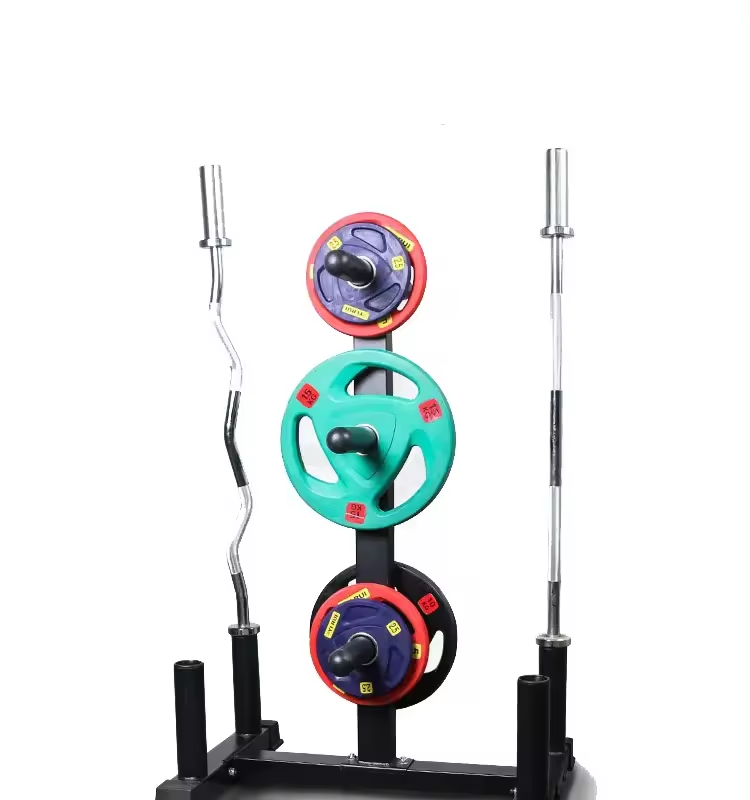 Barbell Storage Rack for Weights and Bar Hanging Weight Plates