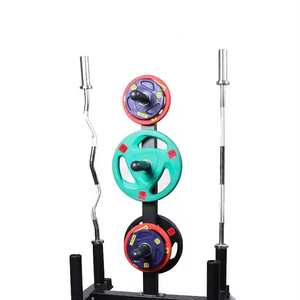 Barbell Storage Rack for Weights and Bar Hanging Weight Plates