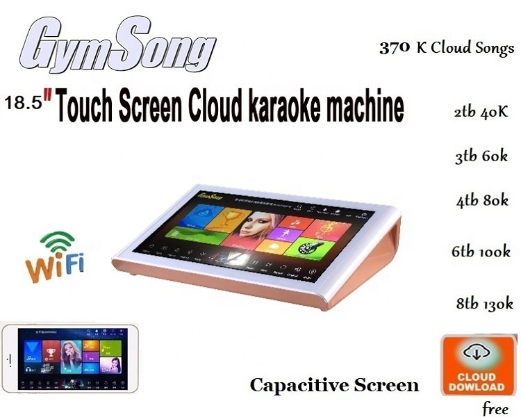 GymSong Chinese Portable  3TB HDD  Karaoke Machine wired Microphone