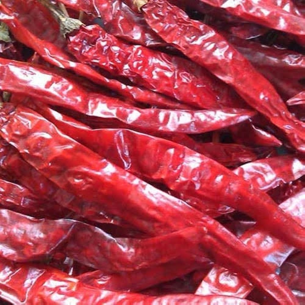 Best Quality Single Spices & Herbs Dried Red Kashmiri Chili for Food with Custom Packaging From India By Gyra Food