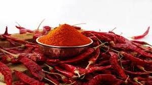 Best Quality Single Spices & Herbs Dried Red Kashmiri Chili for Food with Custom Packaging From India By Gyra Food