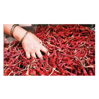 Export Quality Dried Red Chilli Super Spicy Red Chilli for Food Ingredients in Good Price by Gyra Food from India