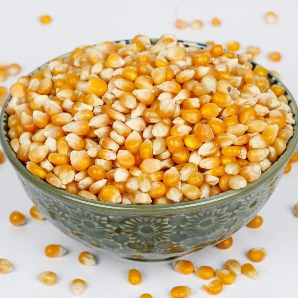 Premium Quality Organic yellow Corn for Human Consumption Available at Wholesale Price for Export