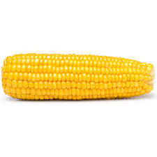 Premium Quality Organic yellow Corn for Human Consumption Available at Wholesale Price for Export