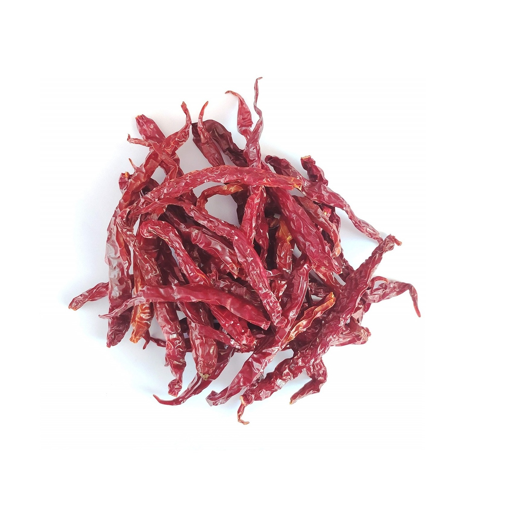 Factory Price Spice Supplier Wholesale Dried Red Chili From Indian Manufacture and Exporter by Gyra Food