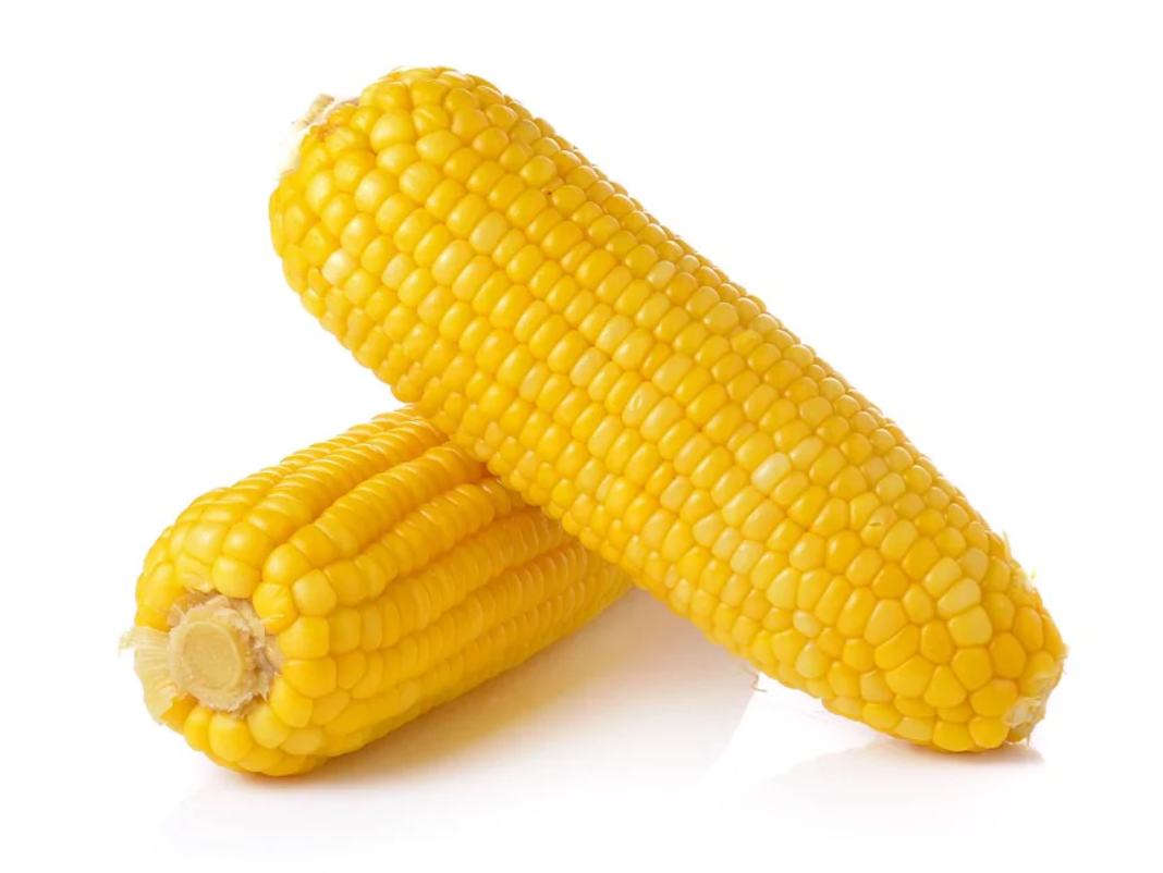 Premium Quality Organic yellow Corn for Human Consumption Available at Wholesale Price for Export