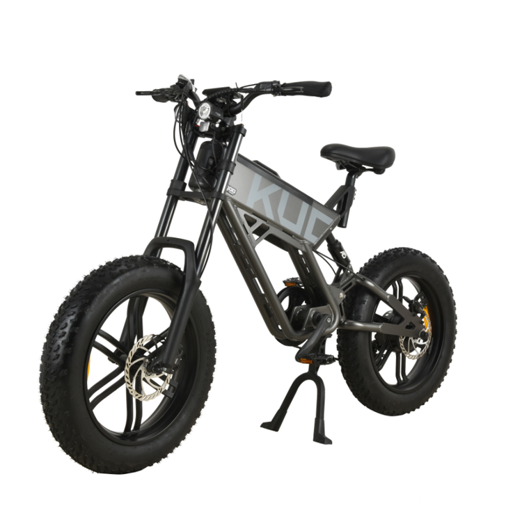 2023 New Arrival Kugoo T01 Fat Tire Electric Mountain Electric Bike 750w High Power Folding Ebike