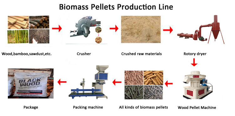 Professional Manufacturer Hops Alfalfa Sawdust Wood Biomass Pellet Making Machine