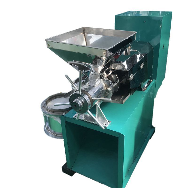 Large capacity  bottle cold extracting figs screw soy peanut filter coconut turkey 100kg olive oil press machine