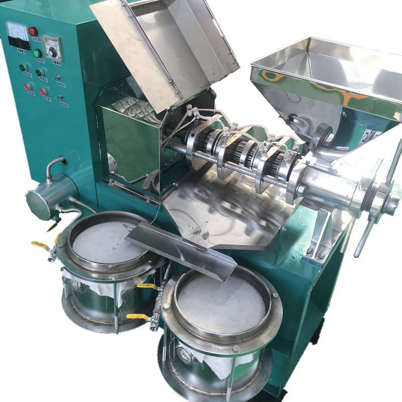 Large capacity  bottle cold extracting figs screw soy peanut filter coconut turkey 100kg olive oil press machine