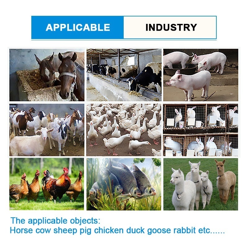 Agricultural and fodder livestock poultry animal feed cattle cow goat sheep food chaff cutter machine Sri lanka