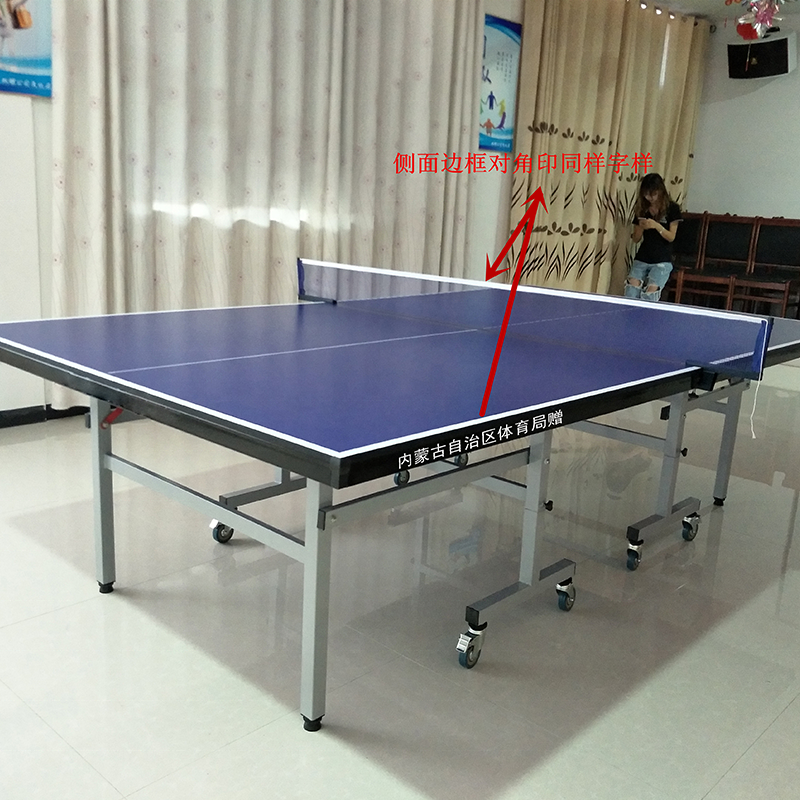 Cheap Price Outdoor Table Tennis Table Folding Pingpong Table