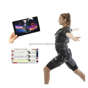 Wholesale Electro Mini Vibration Muscle Massage Gun