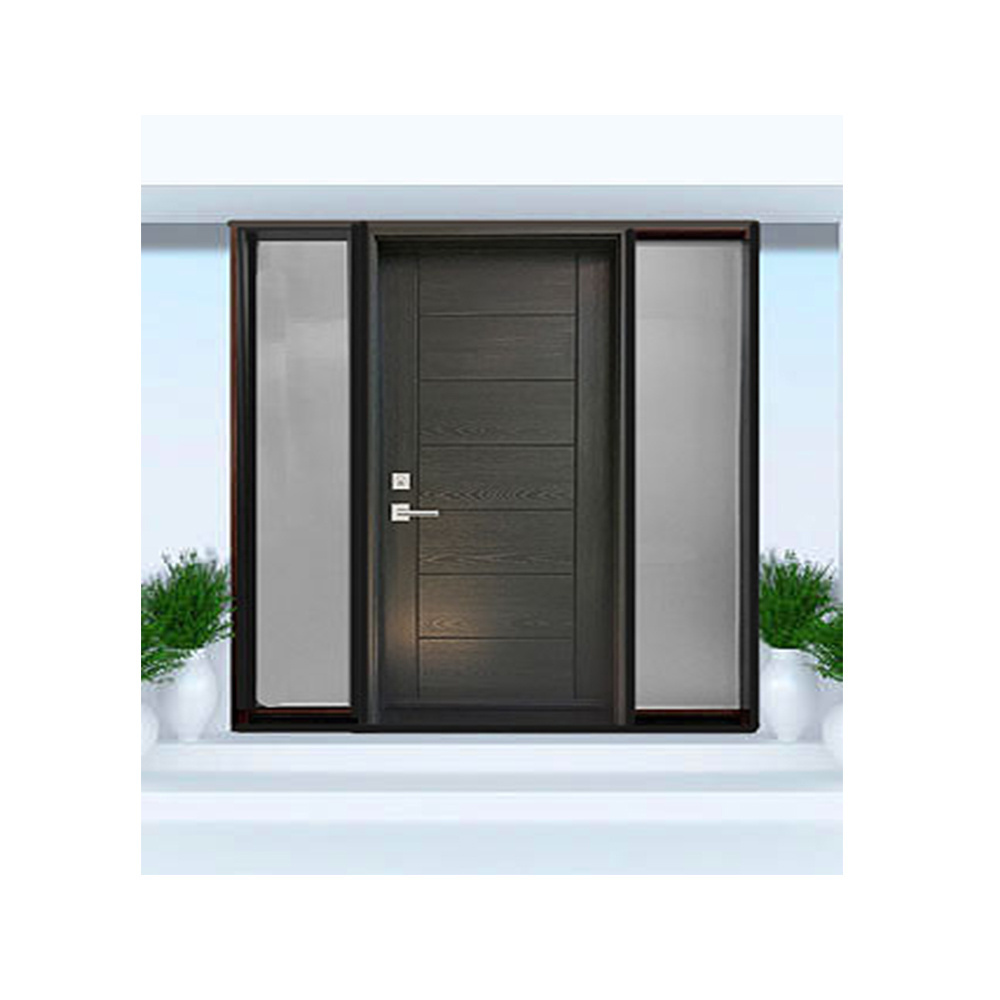 Double Front Entry Door with Glass Panels | Contemporary Entry Door | Decorative Front Door