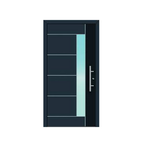 Double Front Entry Door with Glass Panels | Contemporary Entry Door | Decorative Front Door