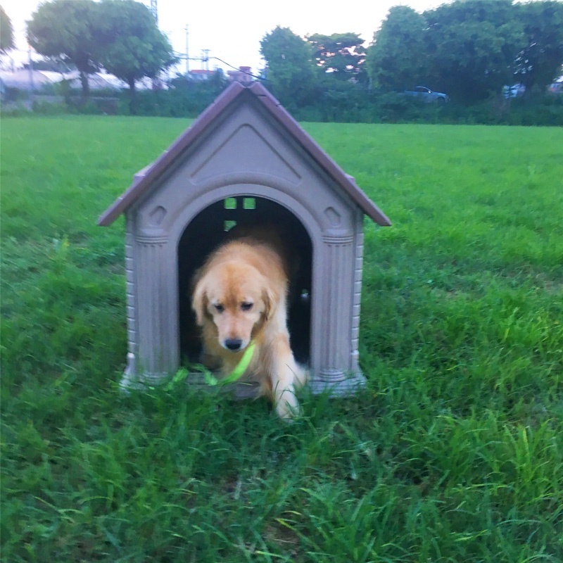 Large Size Outdoor Dog House Waterproof Dog Kennel Removable Golden Retriever Indoor Dog Home